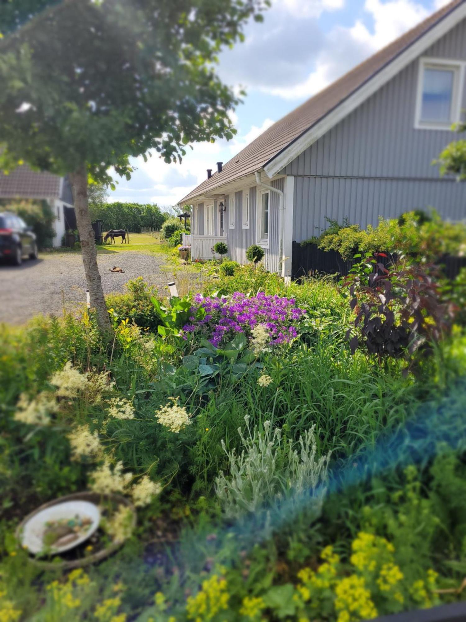 Helgas Stuga I Jonstorp 외부 사진